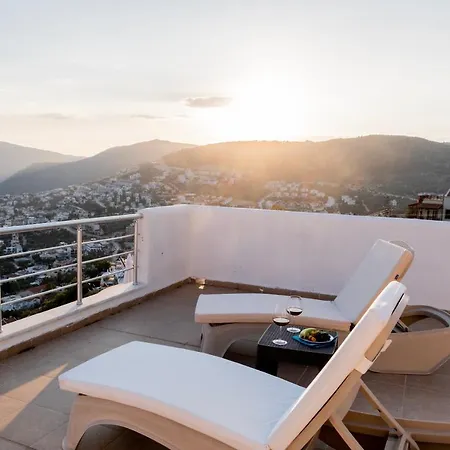 Ayseguel Kalkan