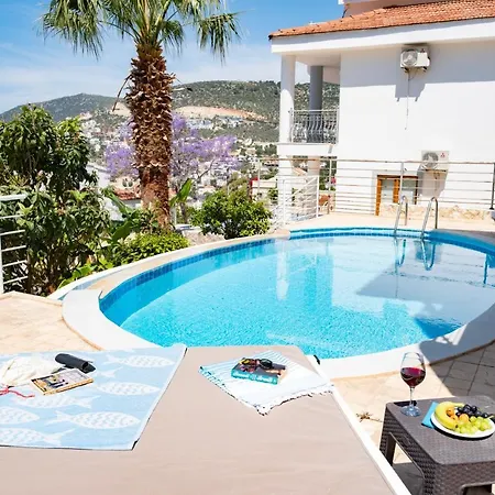 Ayseguel Kalkan